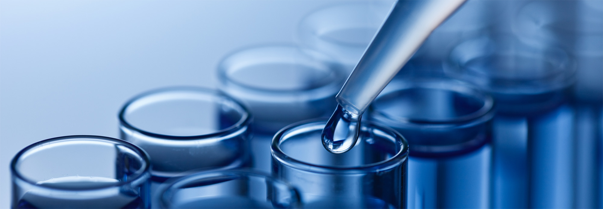 CLAWS Foundation - Making a Difference